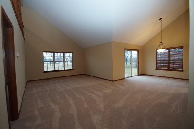 21002 W Hazelnut Ln, Plainfield, IL 60544 photo 9