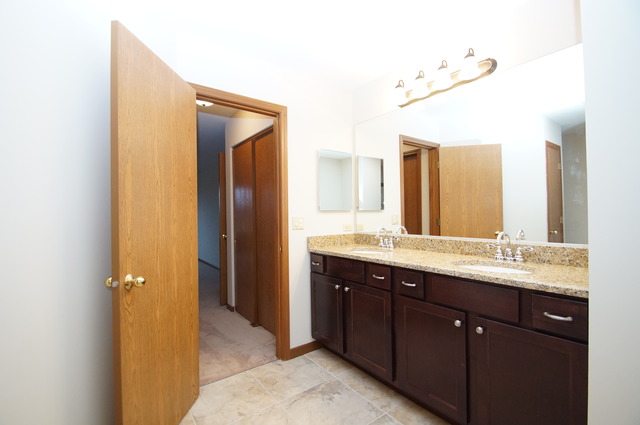 21002 W Hazelnut Ln, Plainfield, IL 60544 photo 18