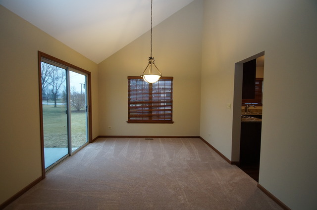 21002 W Hazelnut Ln, Plainfield, IL 60544 photo 7