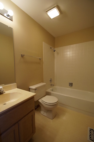 21002 W Hazelnut Ln, Plainfield, IL 60544 photo 11