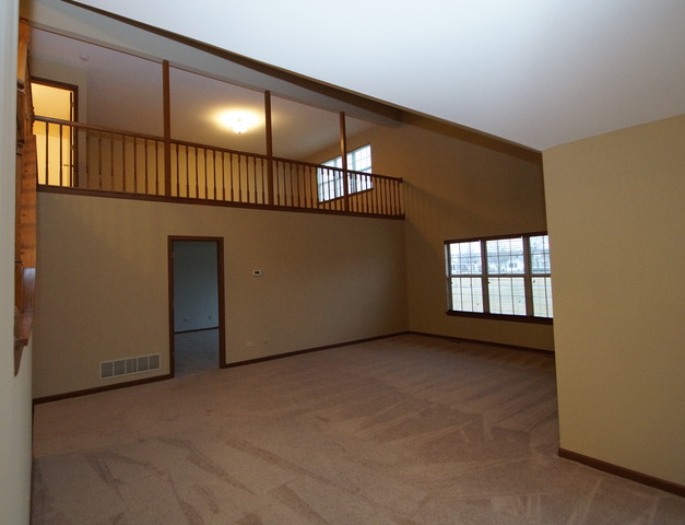 21002 W Hazelnut Ln, Plainfield, IL 60544 photo 8