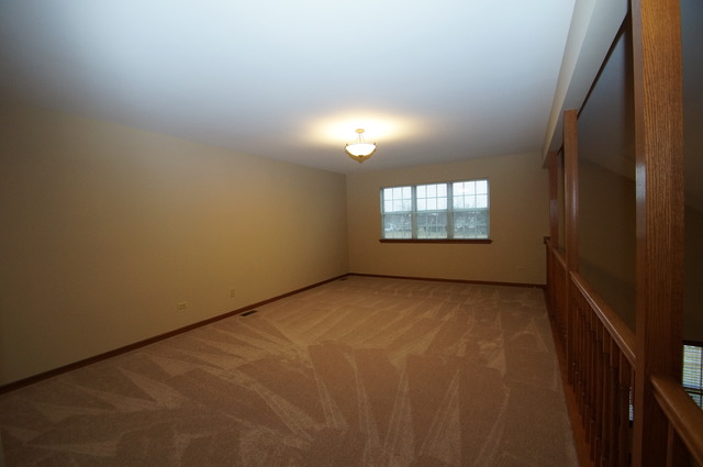 21002 W Hazelnut Ln, Plainfield, IL 60544 photo 10
