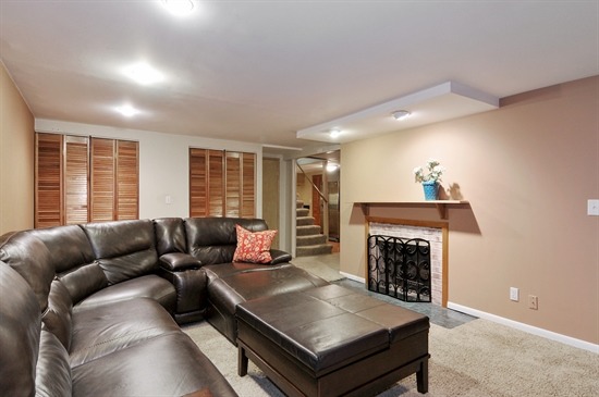 729 E Franklin Ave, Naperville, IL 60540 photo 12