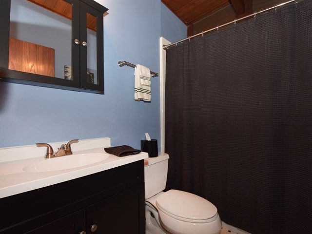 328 W Elm St, Wheaton, IL 60189 photo 17