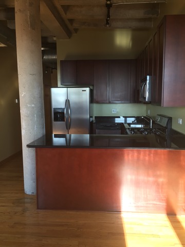 809 E 40th St #6-5, Chicago, IL 60653 photo 5