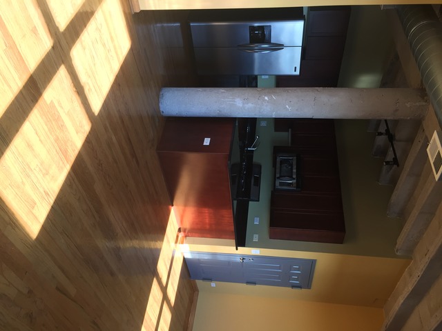 809 E 40th St #6-5, Chicago, IL 60653 photo 4
