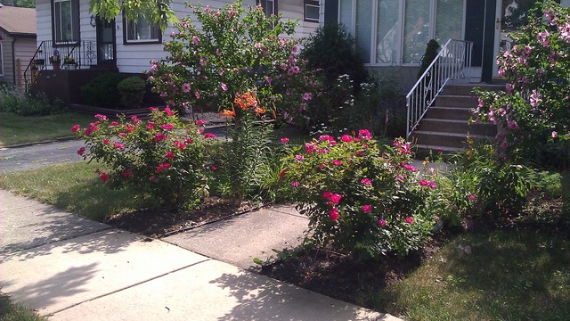 14904 Avers Ave, Midlothian, IL 60445 photo 2