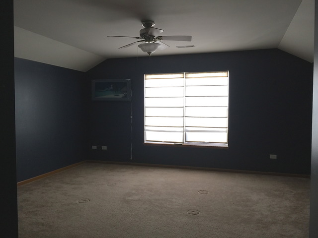 25750 S Daffodil Ln, Monee, IL 60449 photo 9