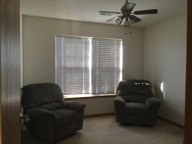 25750 S Daffodil Ln, Monee, IL 60449 photo 10