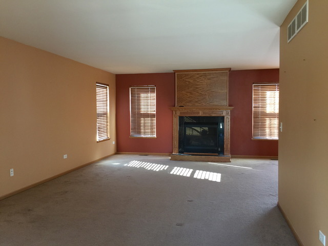 25750 S Daffodil Ln, Monee, IL 60449 photo 5