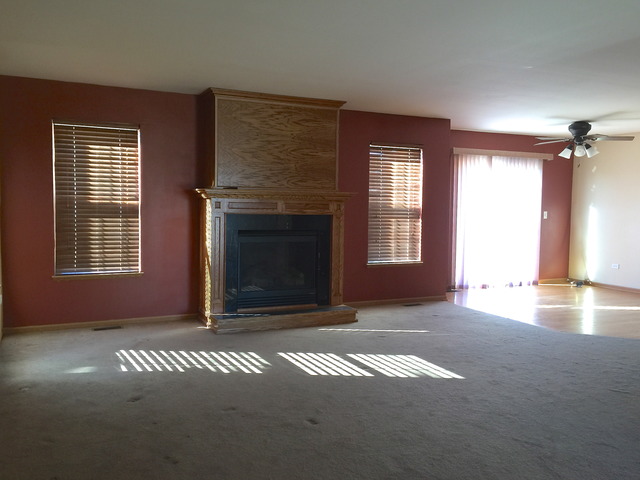 25750 S Daffodil Ln, Monee, IL 60449 photo 4