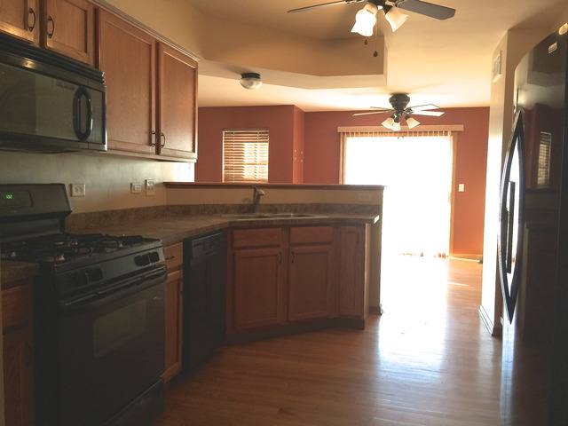 25750 S Daffodil Ln, Monee, IL 60449 photo 2