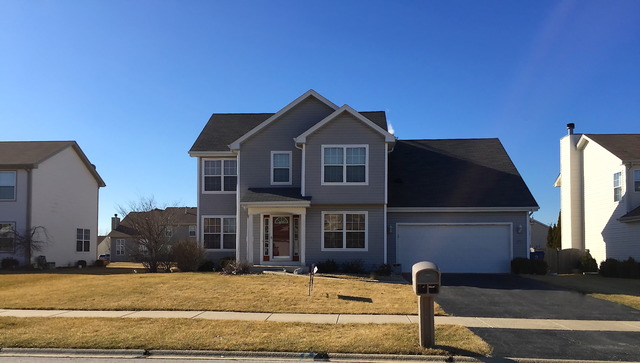 25750 S Daffodil Ln, Monee, IL 60449 photo 1