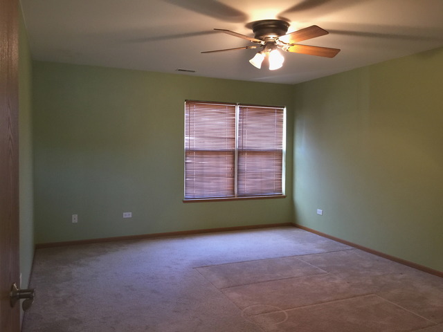 25750 S Daffodil Ln, Monee, IL 60449 photo 7