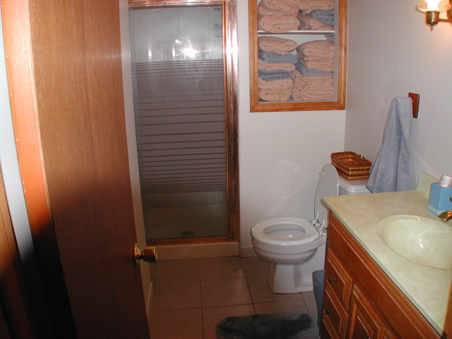 742 Evergreen Ln, Bartlett, IL 60103 photo 9