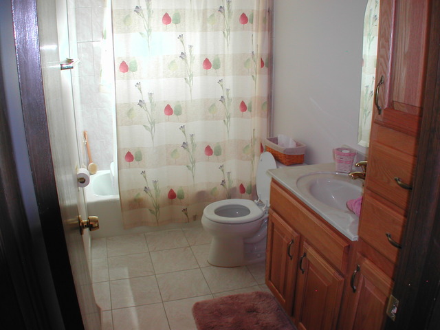 742 Evergreen Ln, Bartlett, IL 60103 photo 10