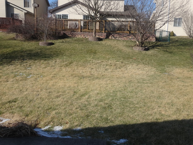 1209 Needham Rd, Naperville, IL 60563 photo 25