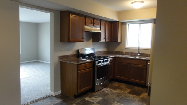 1209 Needham Rd, Naperville, IL 60563 photo 9