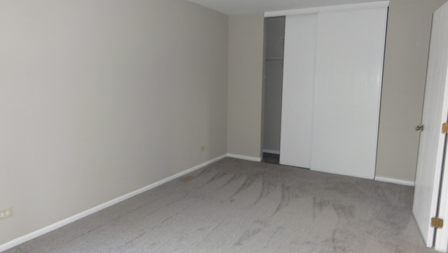 1209 Needham Rd, Naperville, IL 60563 photo 18