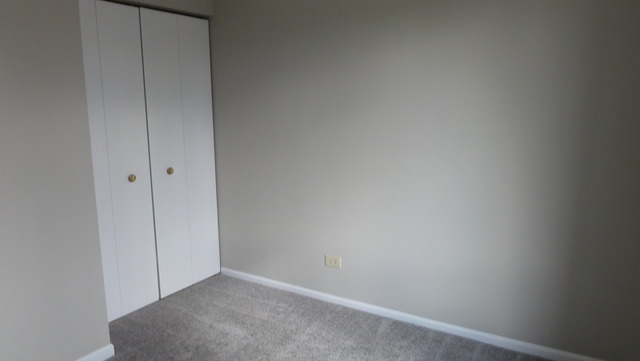 1209 Needham Rd, Naperville, IL 60563 photo 22