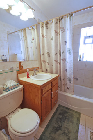 32 E 14th Pl, Lombard, IL 60148 photo 15