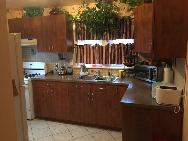 57 S Weston Ave, Elgin, IL 60123 photo 2