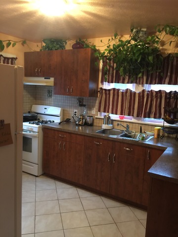 57 S Weston Ave, Elgin, IL 60123 photo 3