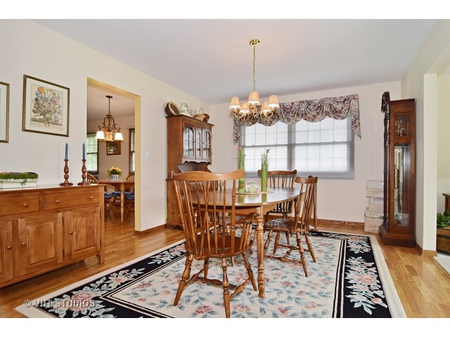 876 Middleton Ln, Bartlett, IL 60103 photo 4