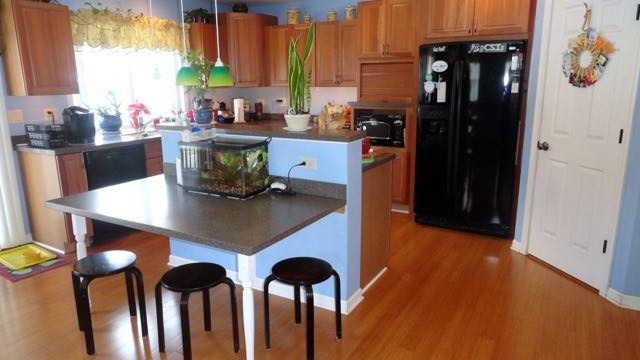 650 Flagstaff Ln, Hoffman Estates, IL 60169 photo 16