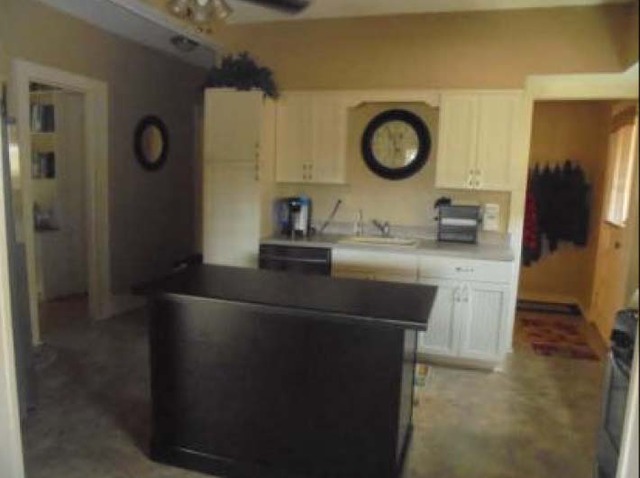 230 E Maple Ave, Roselle, IL 60172 photo 6