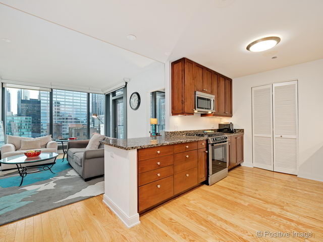 60 E Monroe St #1906, Chicago, IL 60603 photo 5