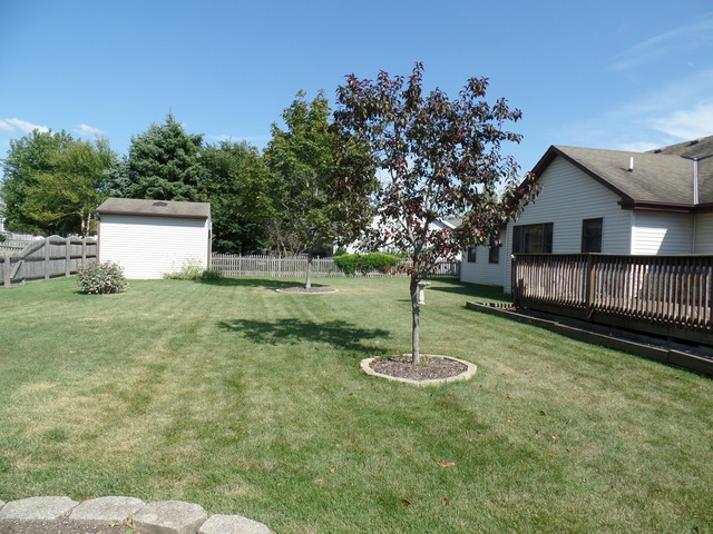 705 Buffalo Dr, Minooka, IL 60447 photo 2
