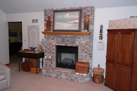 705 Buffalo Dr, Minooka, IL 60447 photo 8