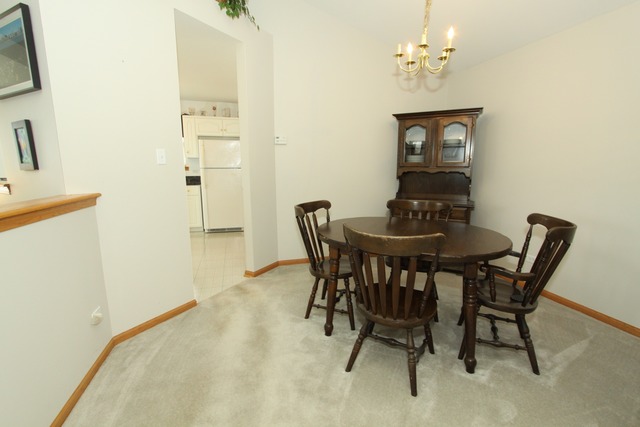 4505 Skylark Ln, Plainfield, IL 60586 photo 8