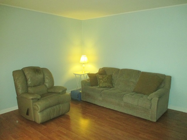 87 W Wayne Pl, Wheeling, IL 60090 photo 4