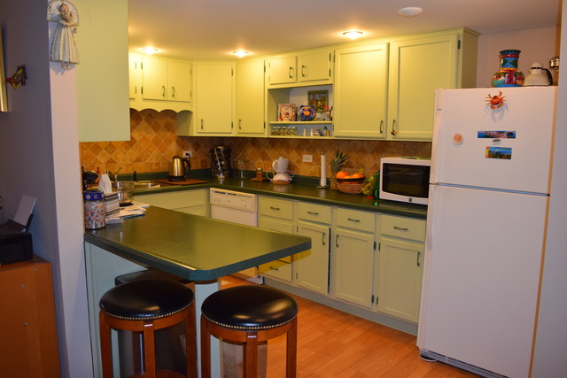 100 Deborah Ln #A23, Wheeling, IL 60090 photo 5