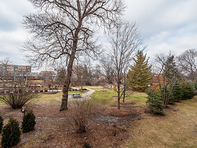 152 E Park Ave #203, Elmhurst, IL 60126 photo 19
