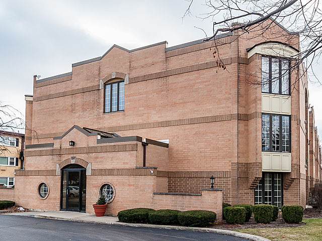 152 E Park Ave #203, Elmhurst, IL 60126 photo 2
