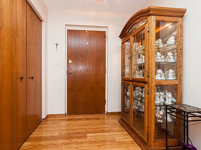 152 E Park Ave #203, Elmhurst, IL 60126 photo 3