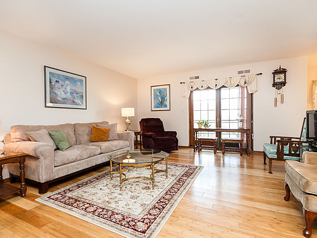 152 E Park Ave #203, Elmhurst, IL 60126 photo 4