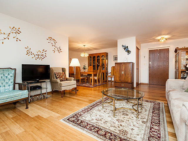 152 E Park Ave #203, Elmhurst, IL 60126 photo 6