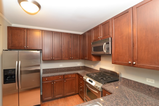 420 E Waterside Dr #610, Chicago, IL 60601 photo 3