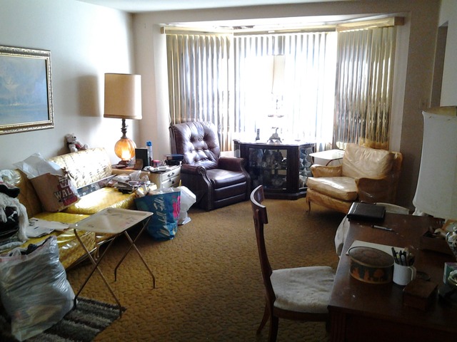 519 E 88th St, Chicago, IL 60619 photo 5