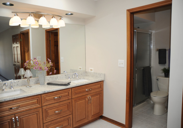1655 Brittany Ln, Hoffman Estates, IL 60192 photo 12