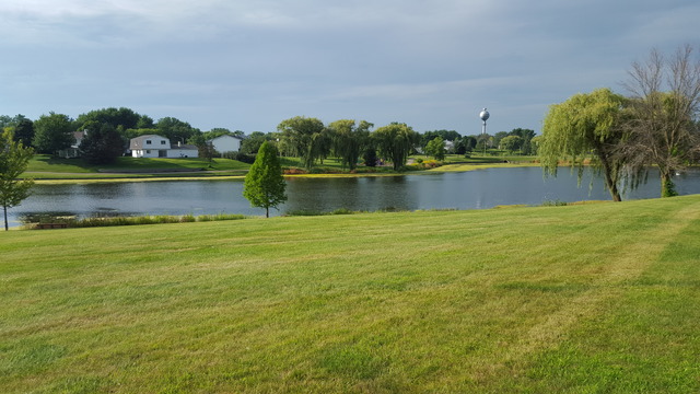 1655 Brittany Ln, Hoffman Estates, IL 60192 photo 22