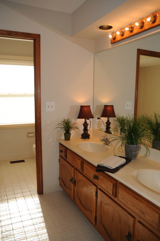 1655 Brittany Ln, Hoffman Estates, IL 60192 photo 15