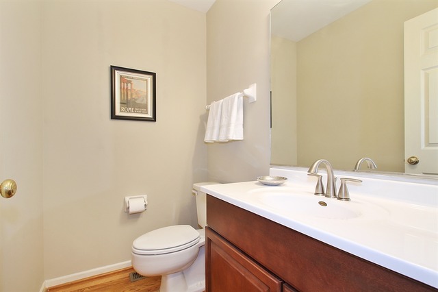 802 Chestnut St #A, Deerfield, IL 60015 photo 15