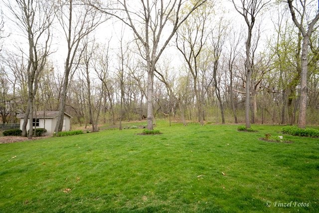 9703 Fox Bluff Ln, Spring Grove, IL 60081 photo 24
