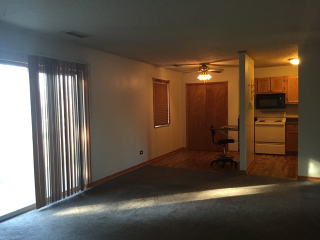 1119 S Curtis Ave #C28, Kankakee, IL 60901 photo 7