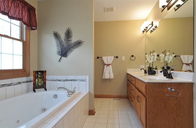 24730 Illini Dr, Plainfield, IL 60544 photo 7